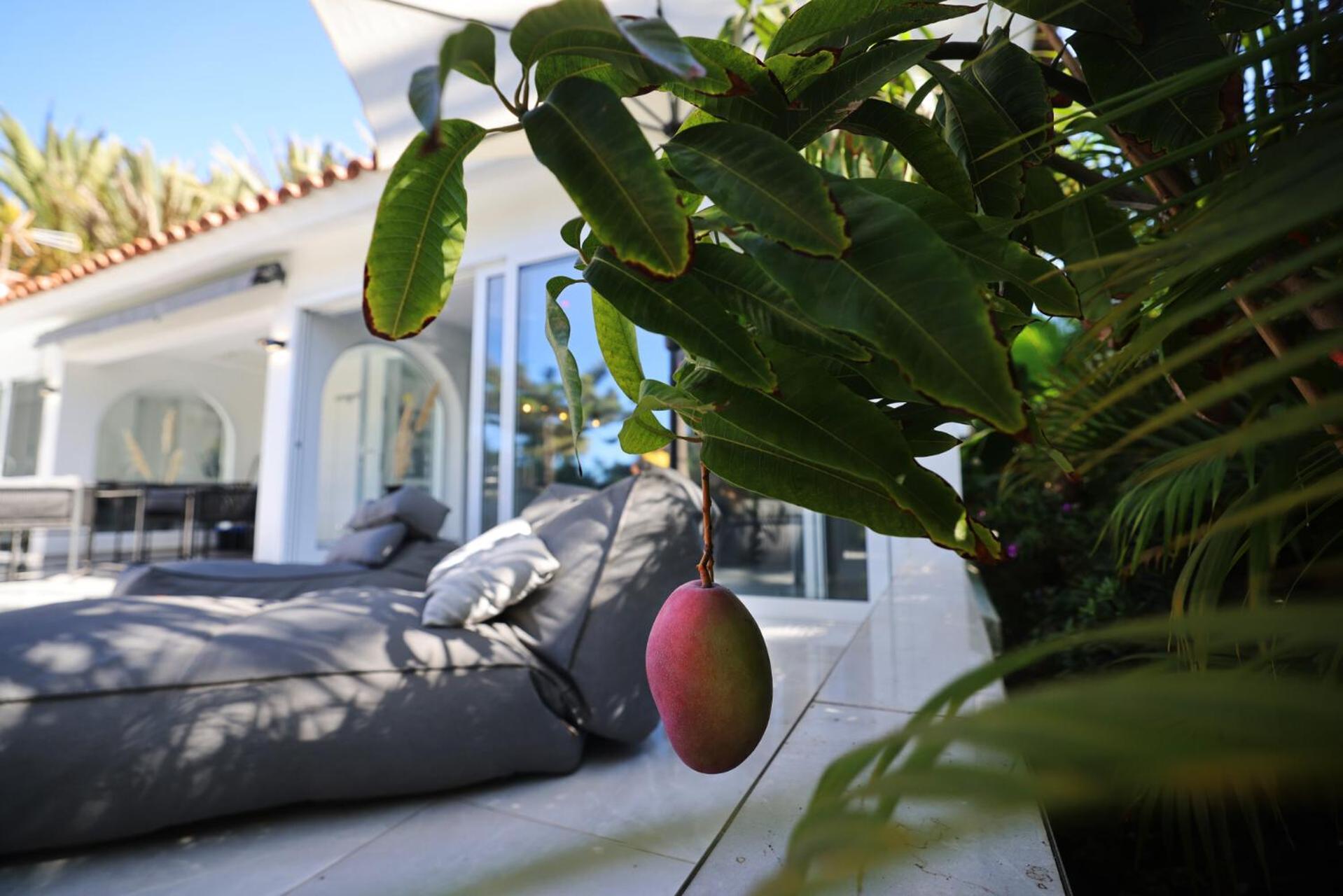 Sun Club Luxus Bungalow Projecto 65 Maspalomas  Eksteriør billede