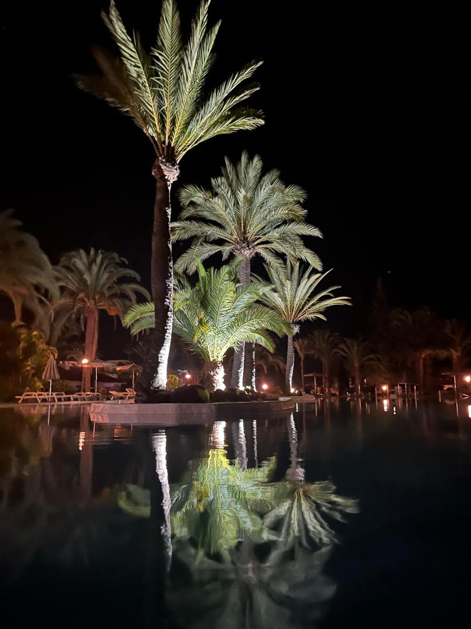 Sun Club Luxus Bungalow Projecto 65 Maspalomas  Eksteriør billede
